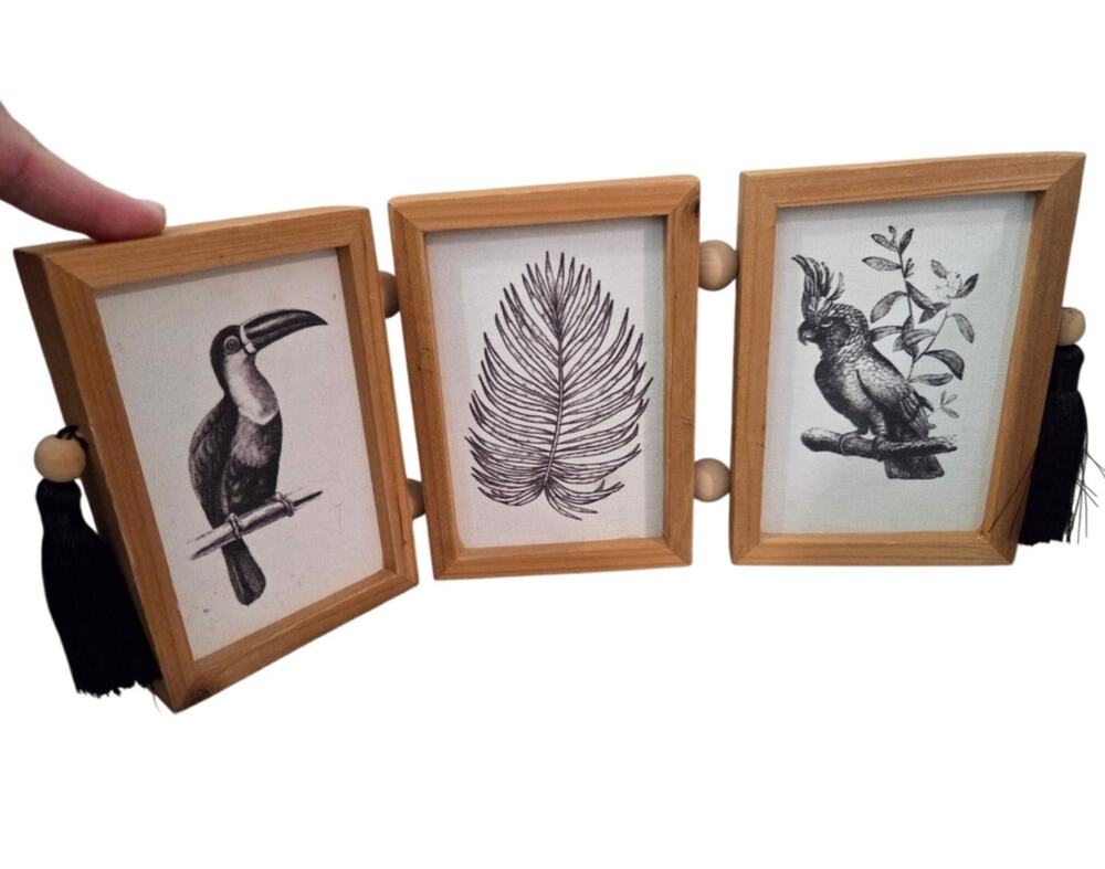 Toucan Parrot Bird 3 Panel Wood Wall ART Tropical Boho Black White Sketch